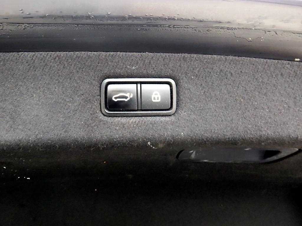 Genesis EQ900 2016 Negro - Importación desde Corea - HF Imports Iquique - Foto 17