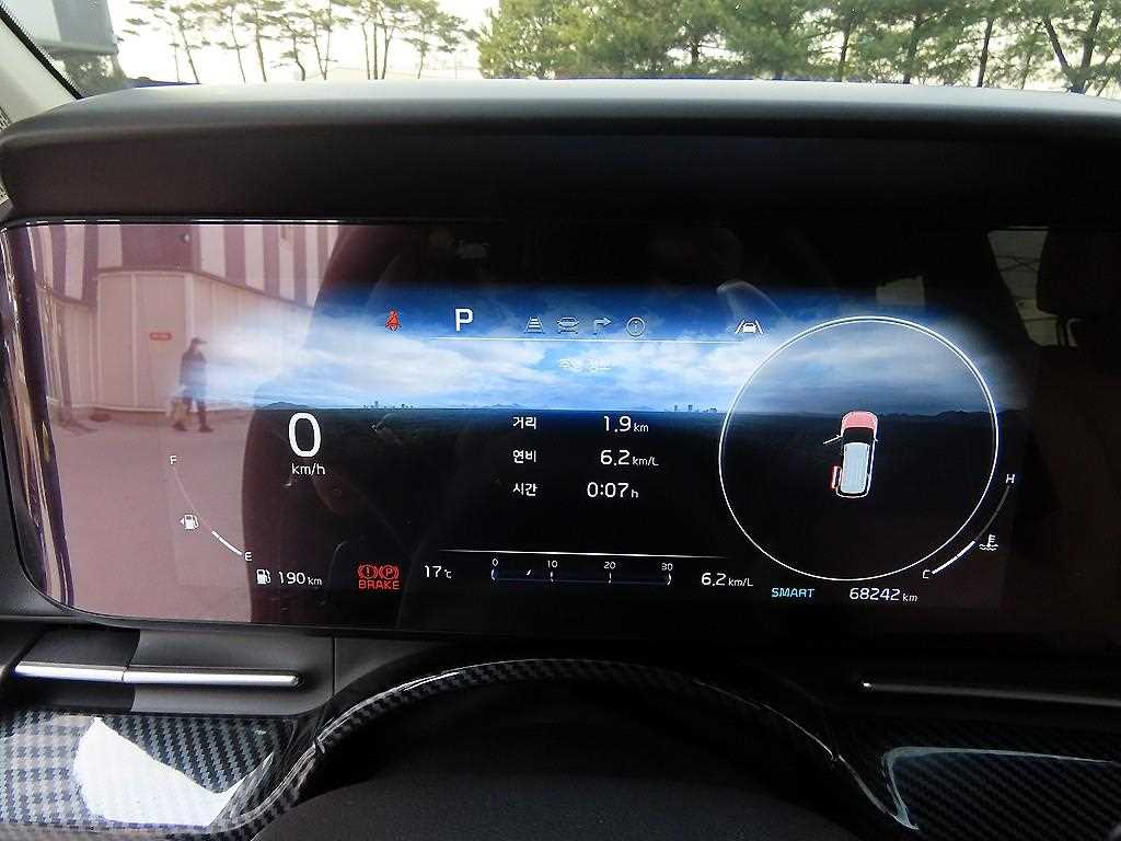 KIA Carnival - Vista 9