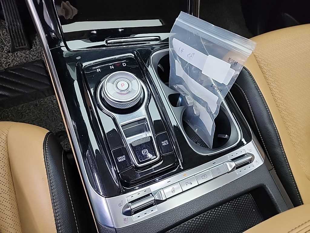 KIA Carnival - Vista 8