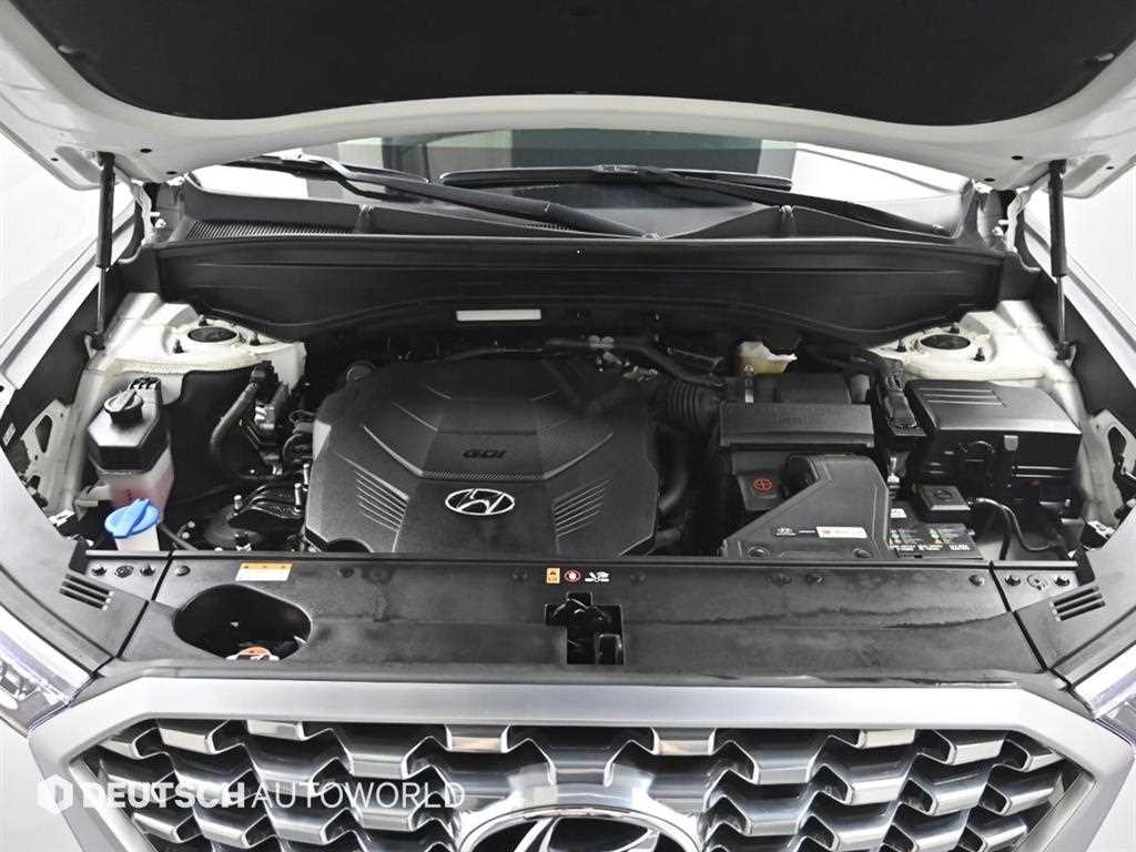 HYUNDAI Palisade - Vista 6
