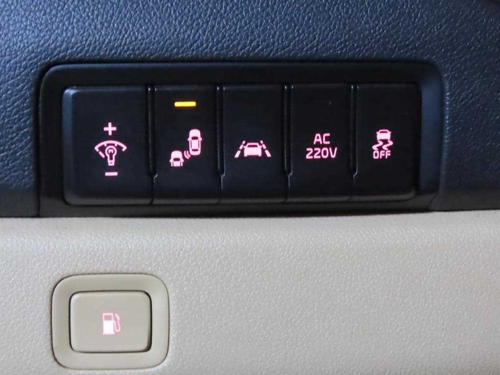 KIA Carnival - Vista 11