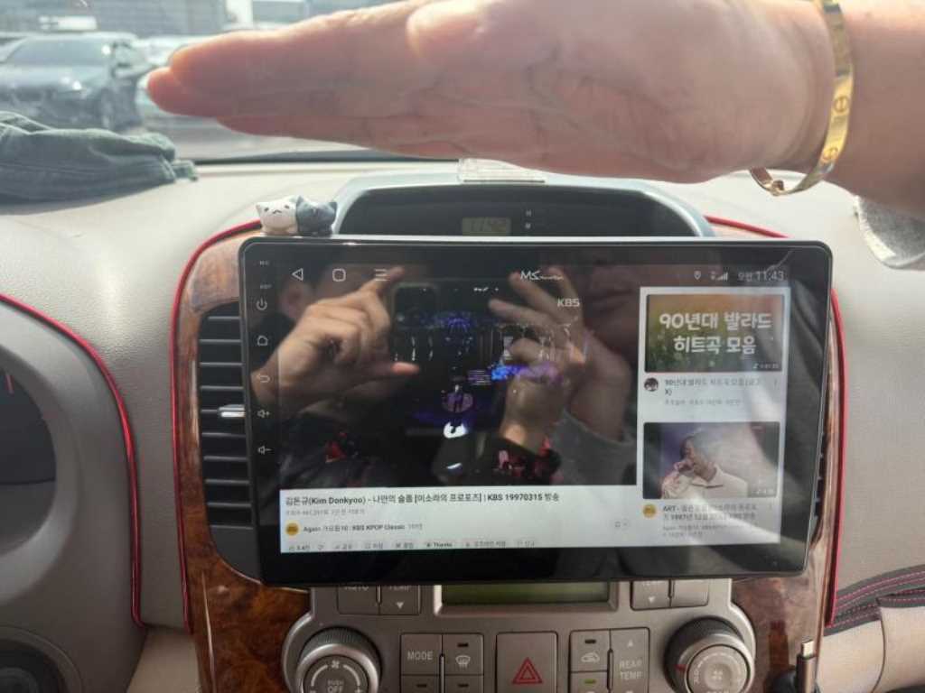 KIA Carnival - Vista 7