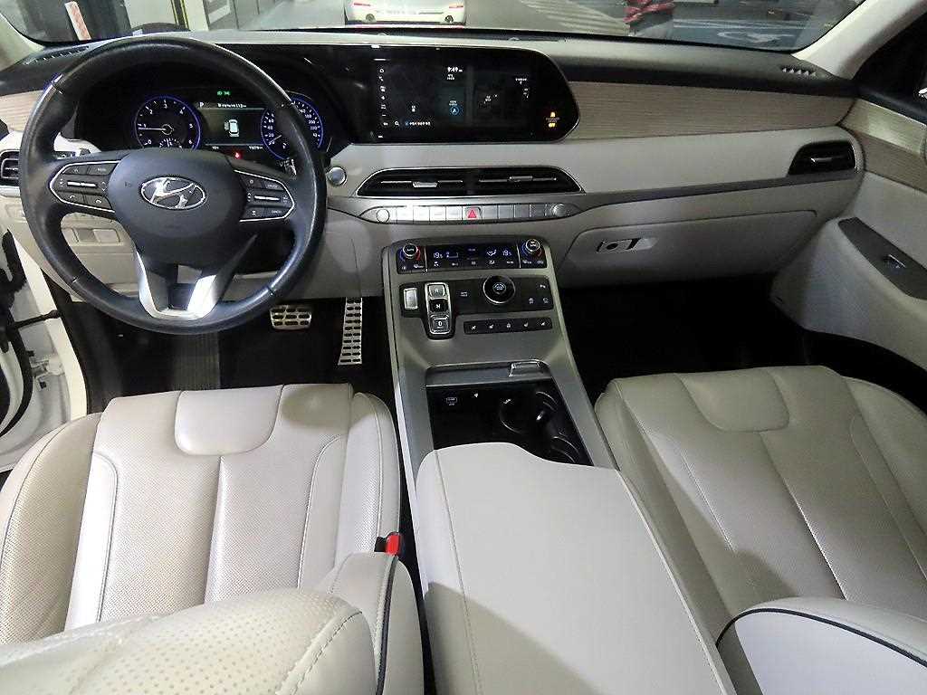HYUNDAI Palisade - Vista 10