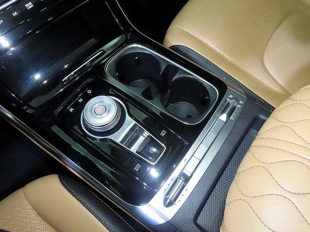 KIA Carnival - Vista 12