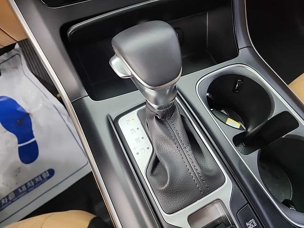 KIA Carnival - Vista 8