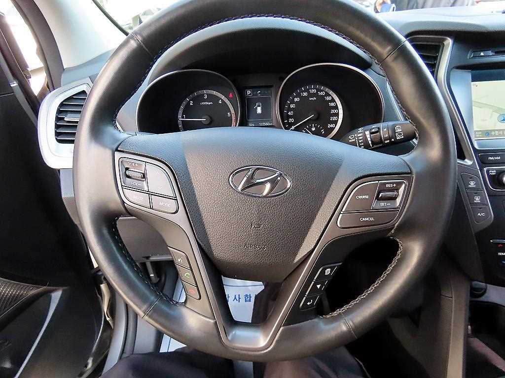 HYUNDAI Maxcruz - Vista 8