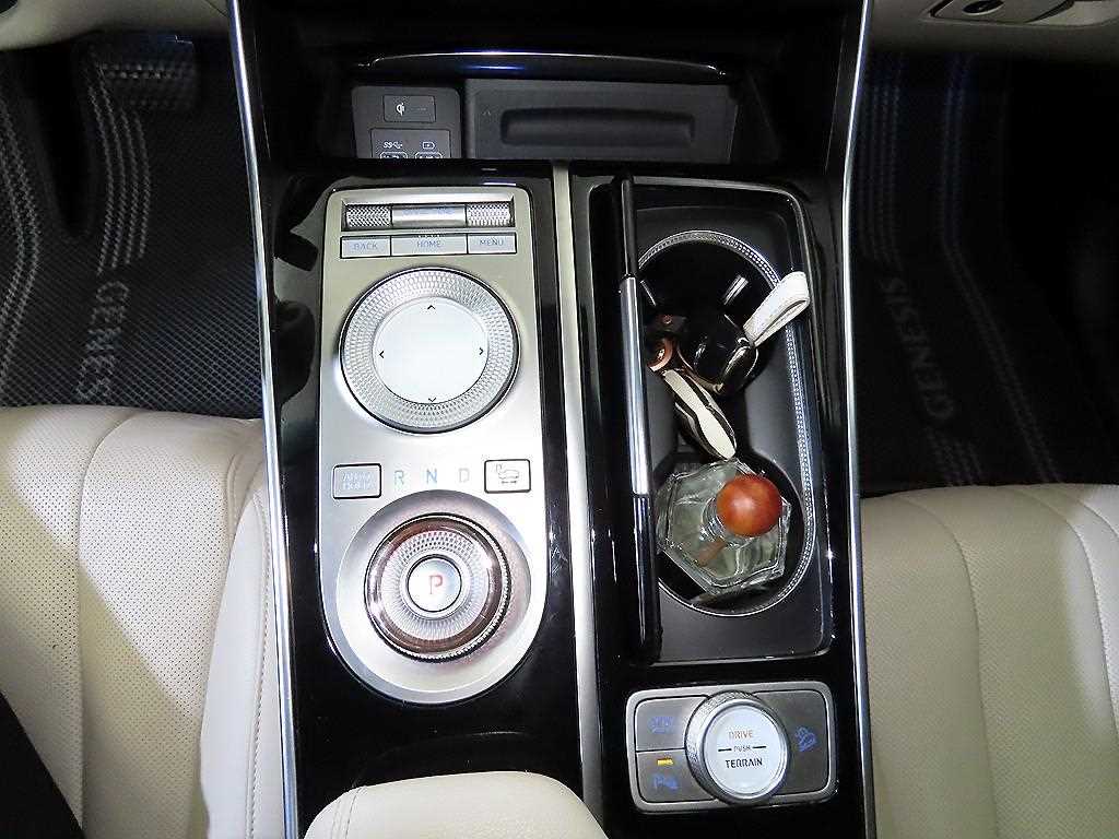 Genesis GV80 - Vista 12