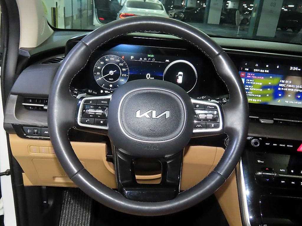 KIA Carnival - Vista 8