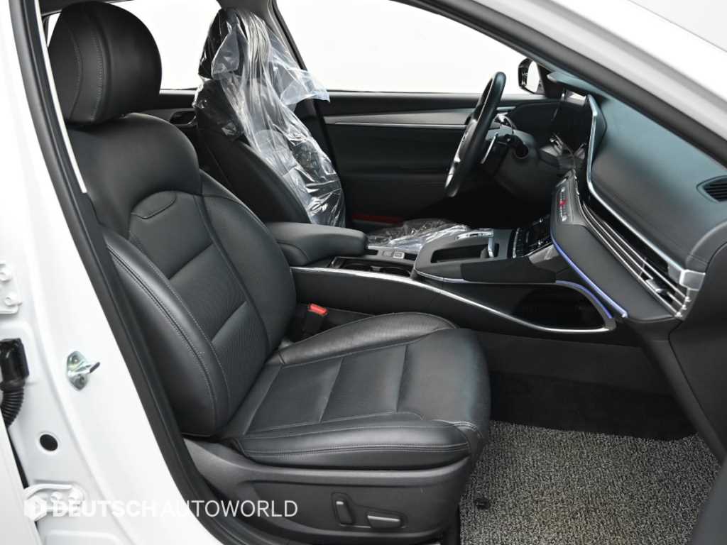 HYUNDAI Grandeur - Vista 10