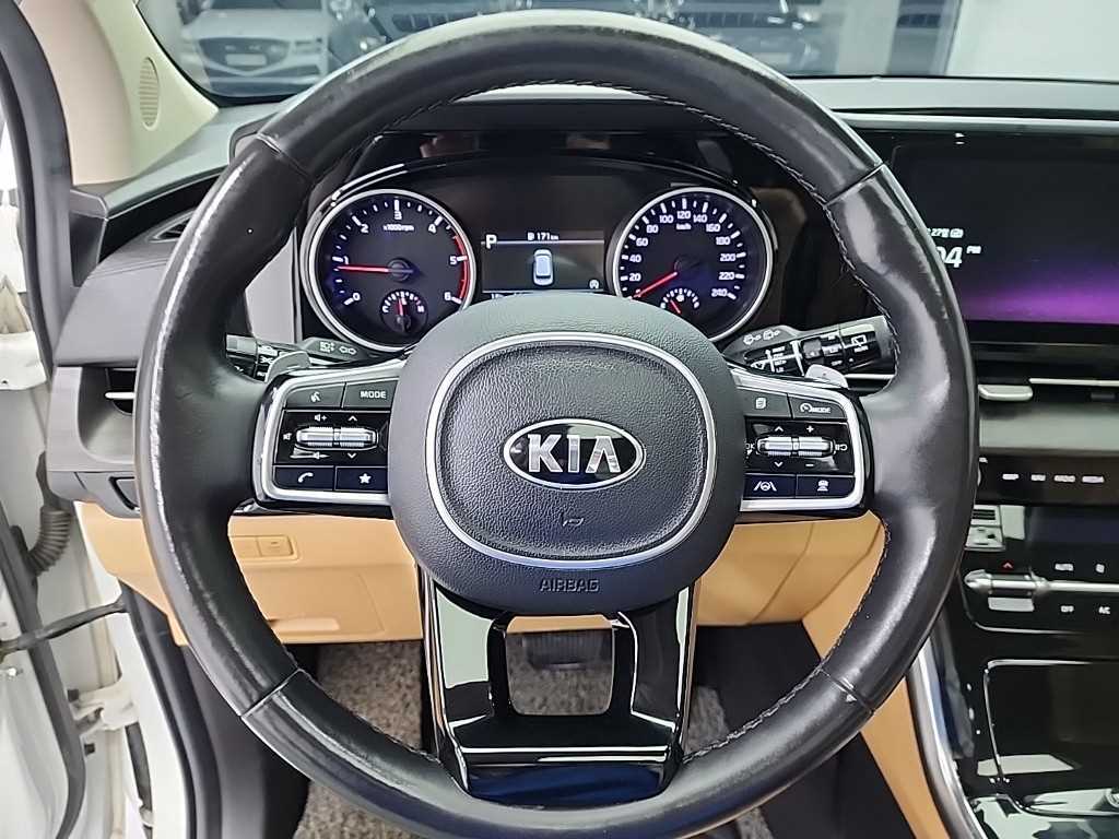 KIA Carnival - Vista 9