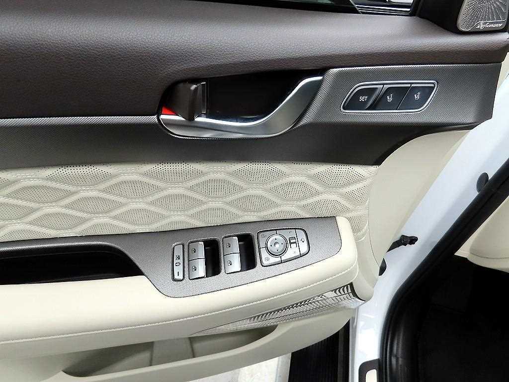 HYUNDAI Palisade - Vista 11