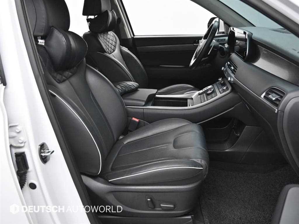 HYUNDAI Palisade - Vista 10