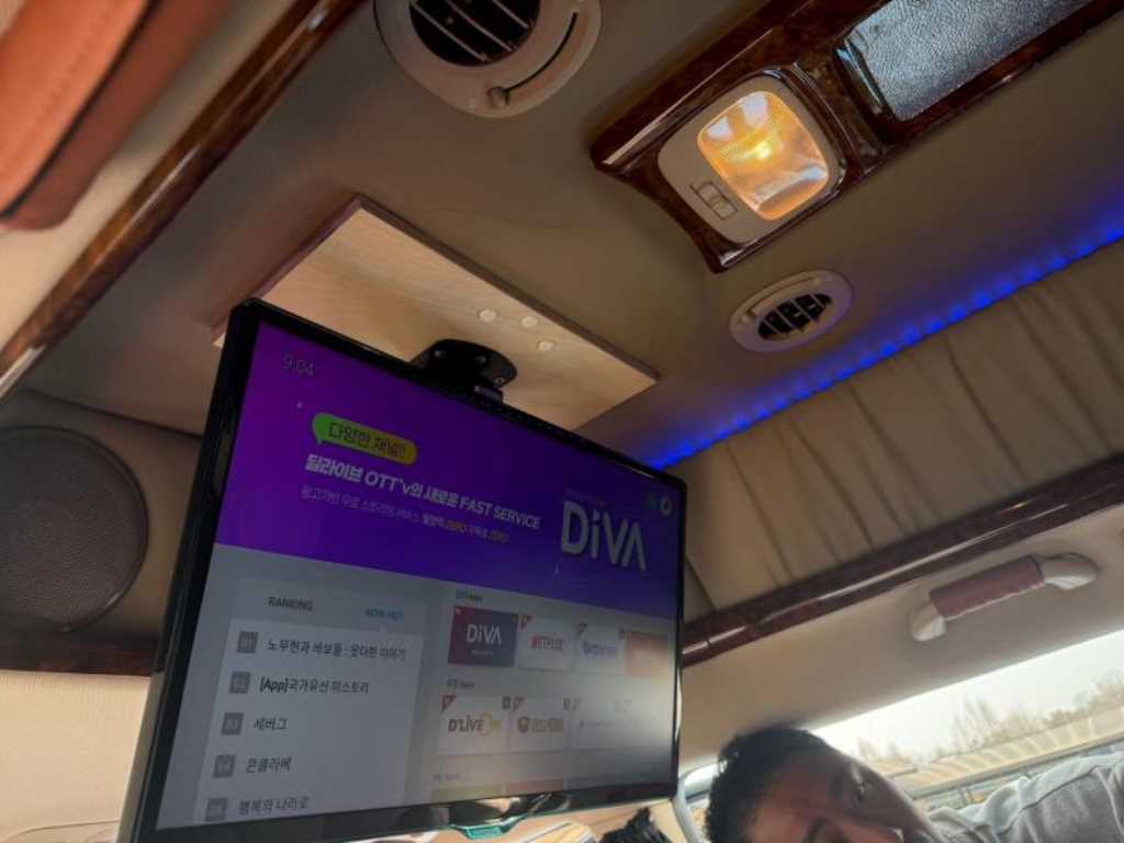 KIA Carnival - Vista 6