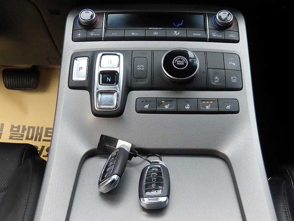 HYUNDAI Palisade - Vista 10