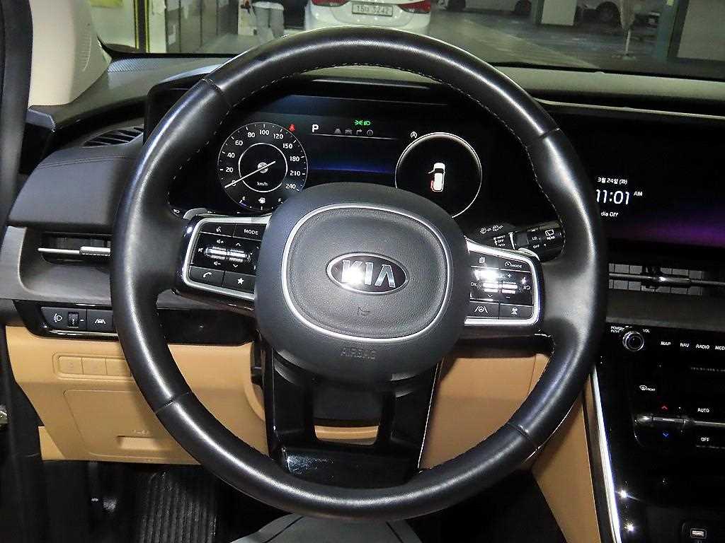 KIA Carnival - Vista 8