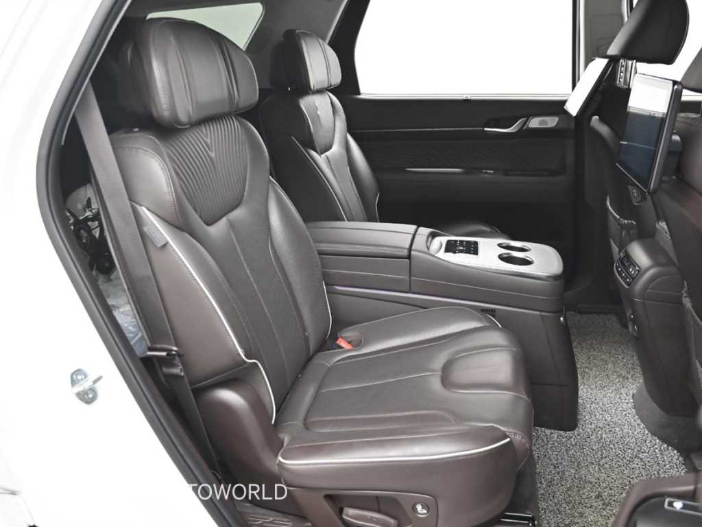 HYUNDAI Palisade - Vista 12