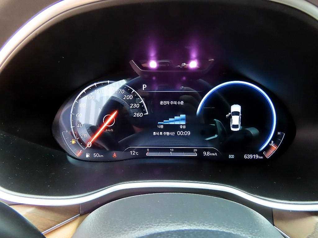 Genesis G80 - Vista 9