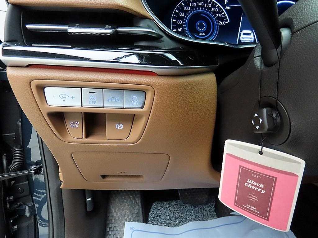 Genesis G80 - Vista 12