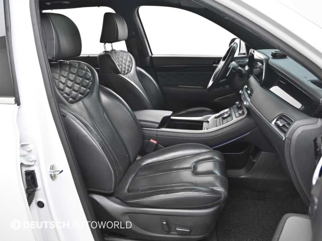 HYUNDAI Palisade - Vista 10