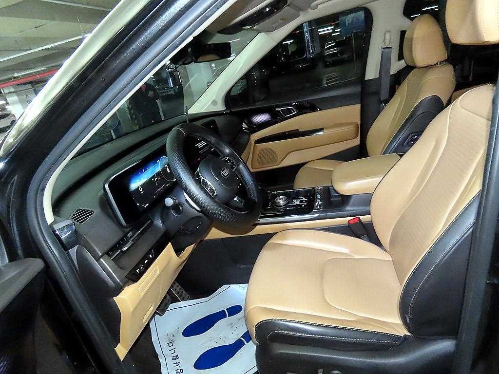 KIA Carnival - Vista 6