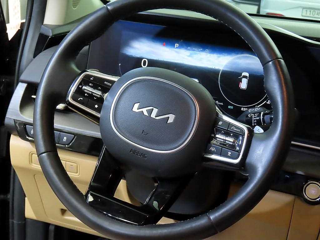 KIA Carnival - Vista 8