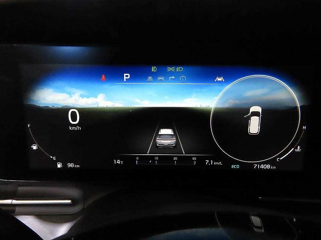 KIA Carnival - Vista 9