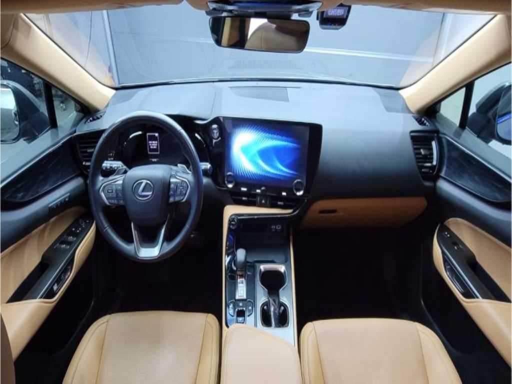 Lexus NX - Vista 8