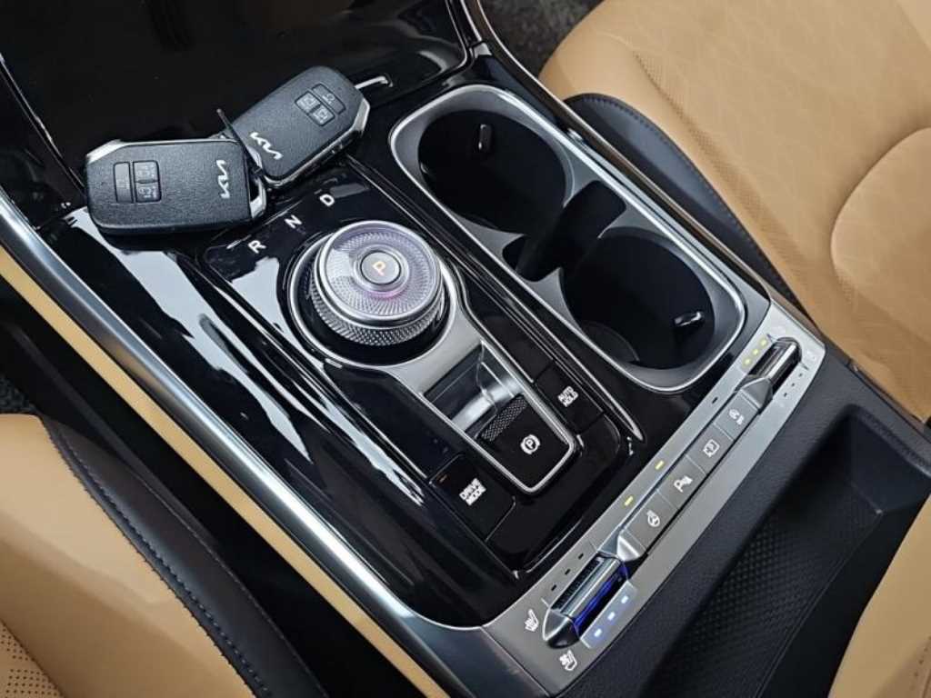 KIA Carnival - Vista 12