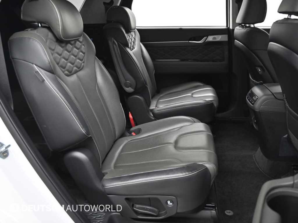 HYUNDAI Palisade - Vista 12
