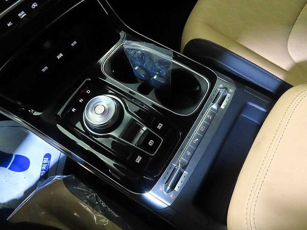 KIA Carnival - Vista 12