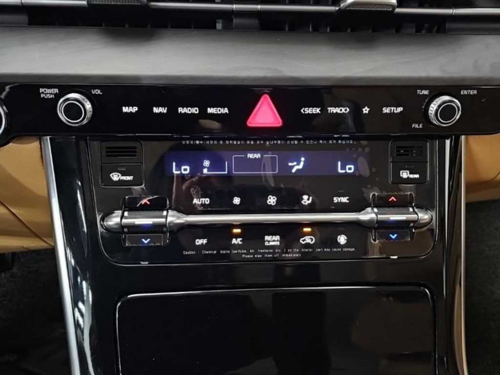 KIA Carnival - Vista 11