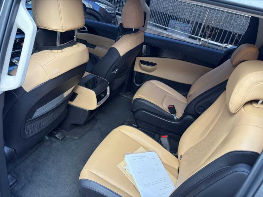 KIA Carnival - Vista 12