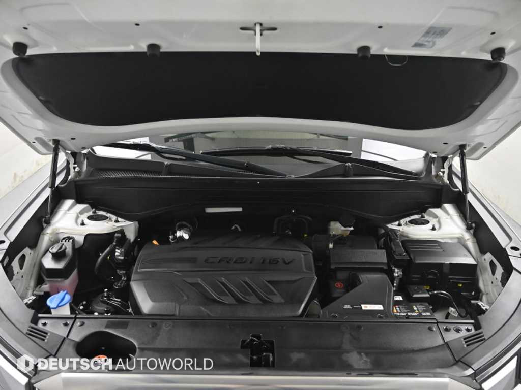 HYUNDAI Palisade - Vista 6