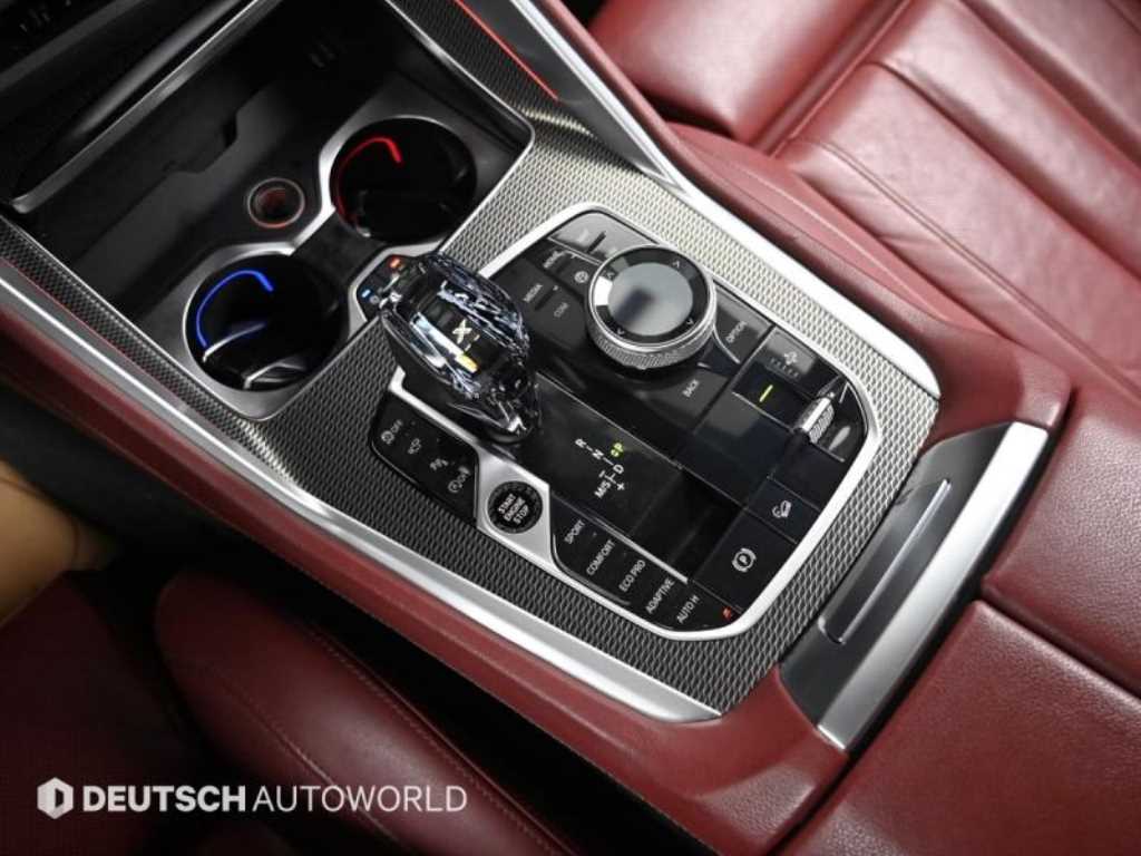 BMW X6 - Vista 10