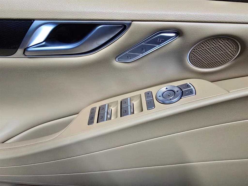 Genesis G80 - Vista 12