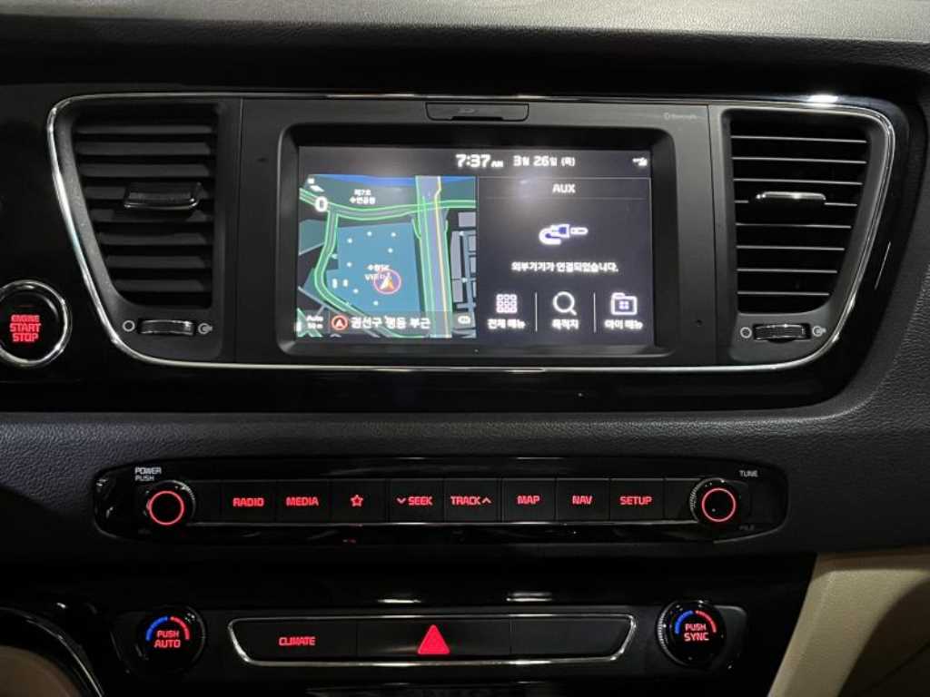 KIA Carnival - Vista 8