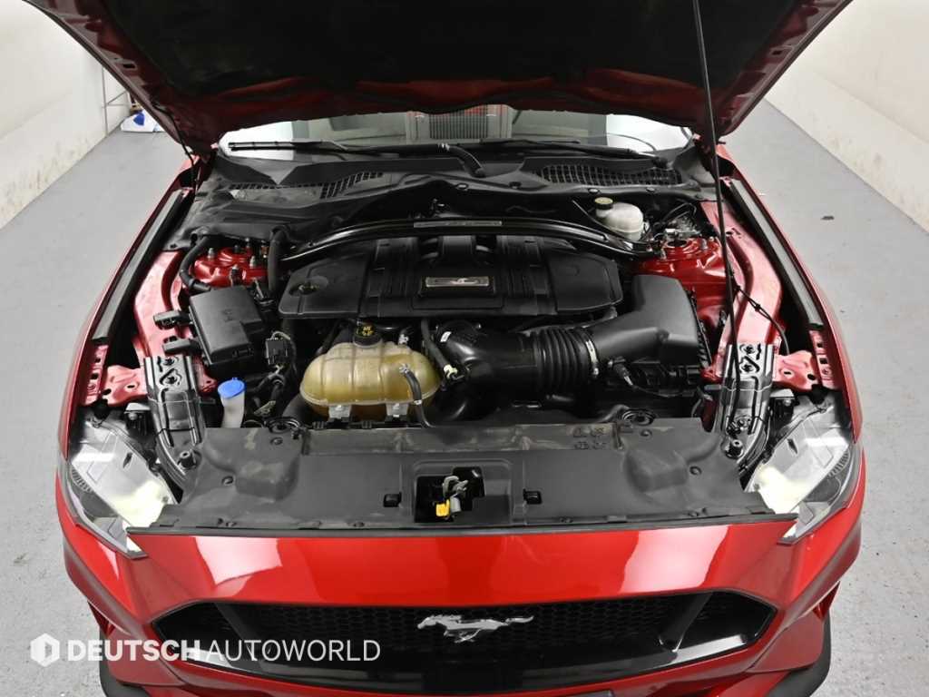 Ford Mustang - Vista 6