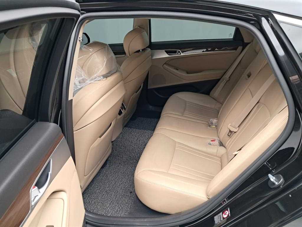 Genesis G80 - Vista 12