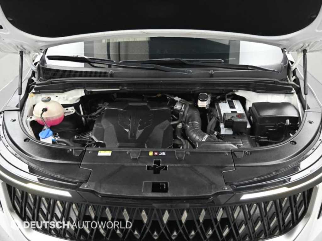 KIA Carnival - Vista 6