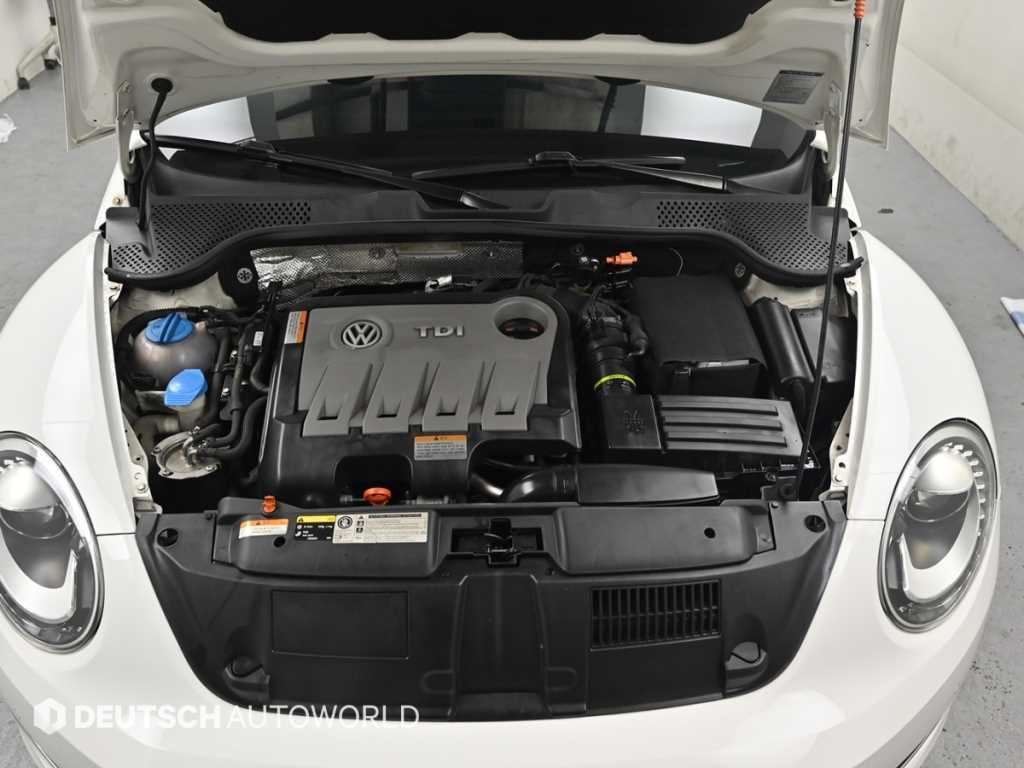 Volkswagen Beetle - Vista 6