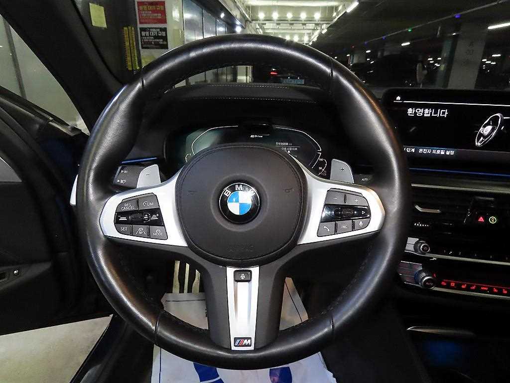 BMW 5 Series - Vista 8