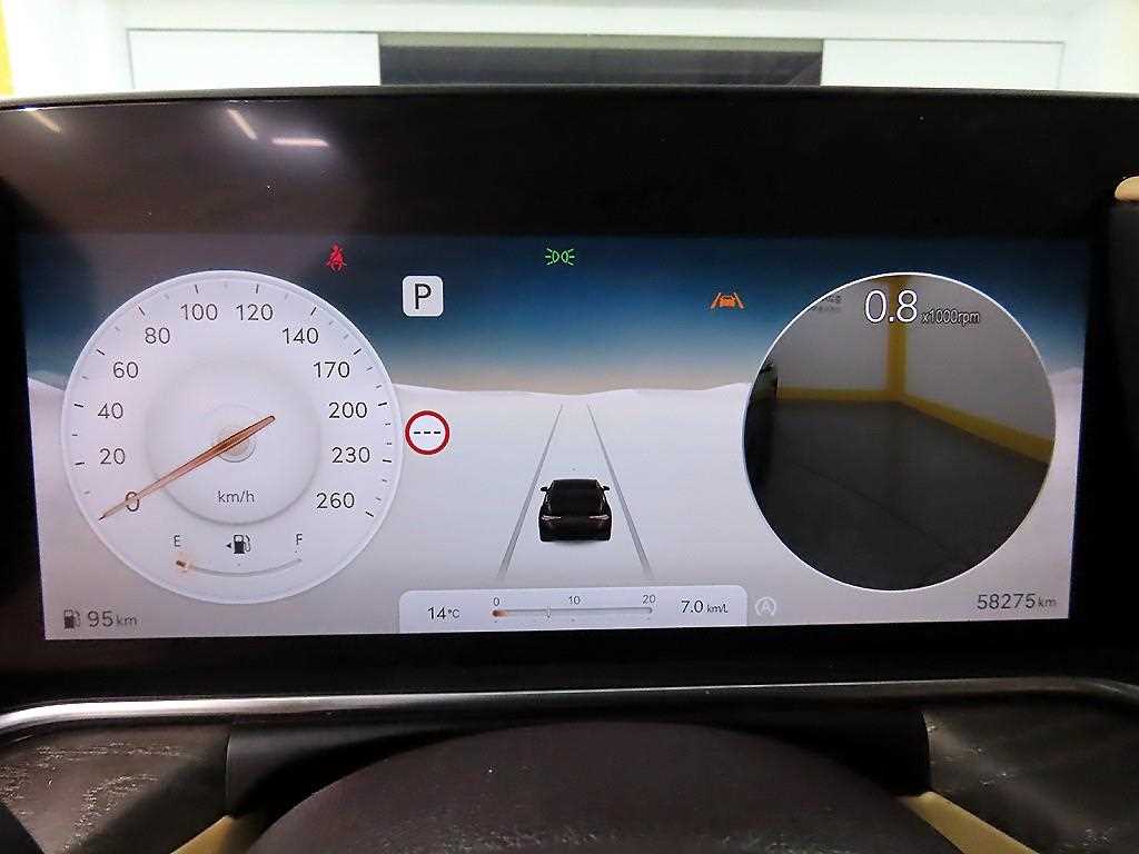 Genesis G90 - Vista 8