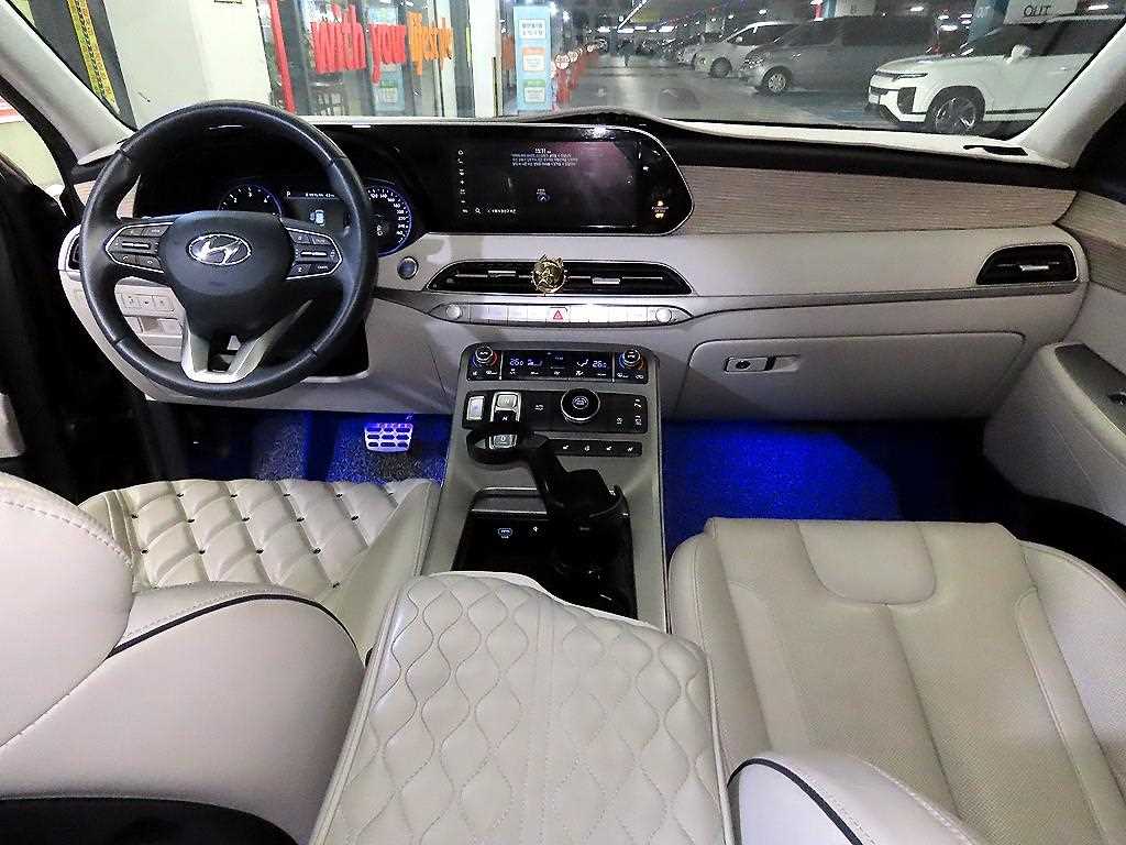 HYUNDAI Palisade - Vista 10
