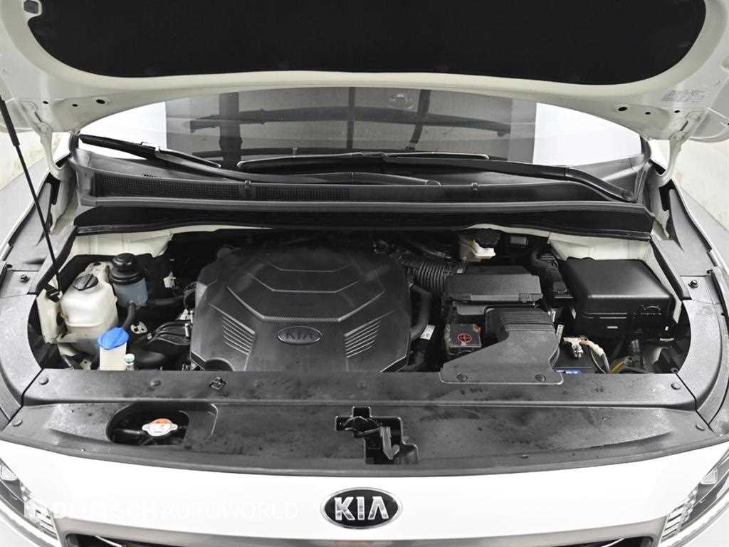 KIA Carnival - Vista 7