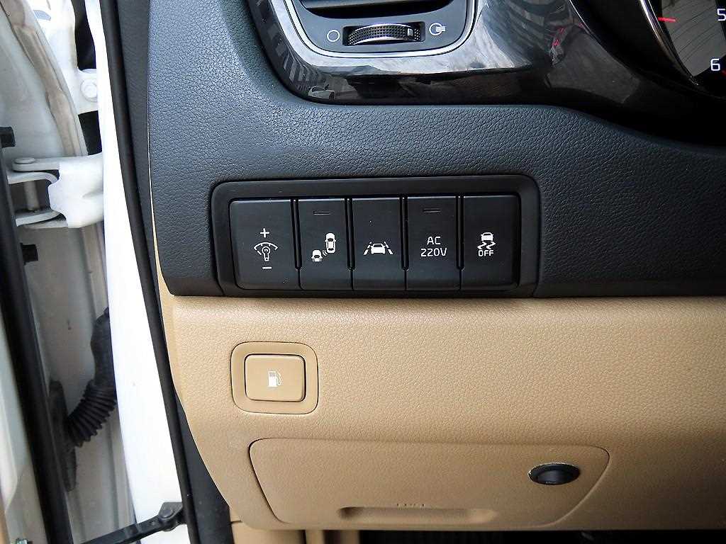 KIA Carnival - Vista 12