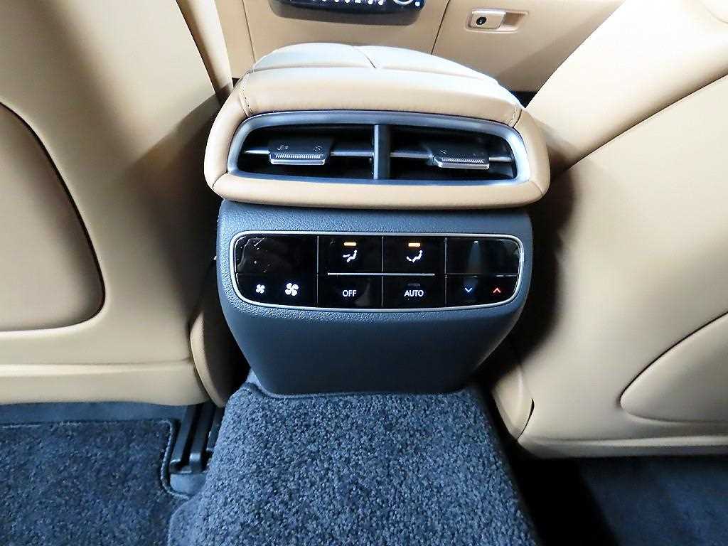 Genesis G80 - Vista 12