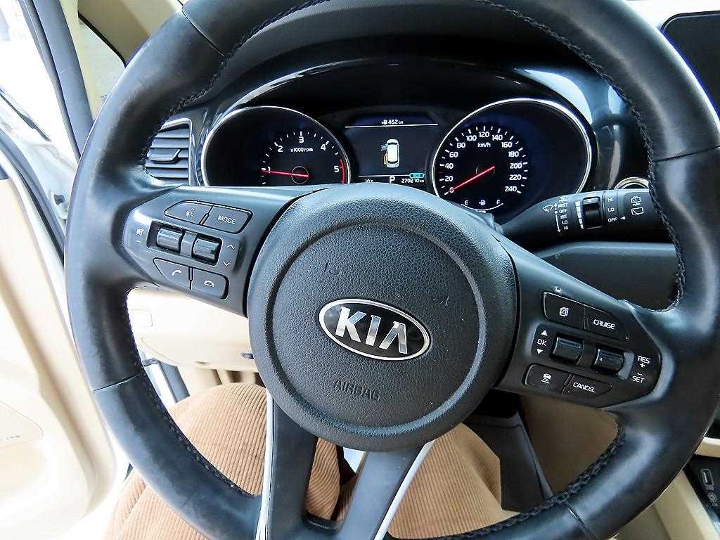 KIA Carnival - Vista 8