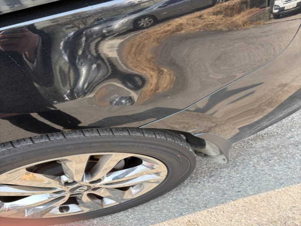 KIA Carnival - Vista 3