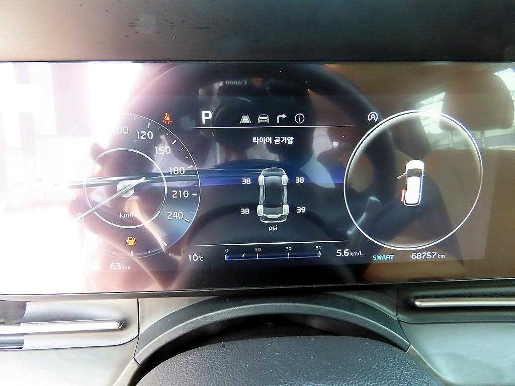 KIA Carnival - Vista 10