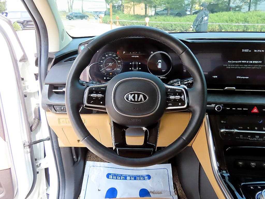 KIA Carnival - Vista 9